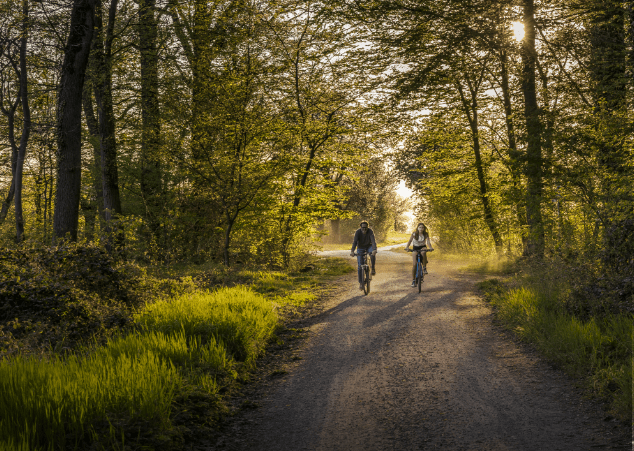 Radfahrer im Wald nahe dem Rhön Feeling Familienhotel